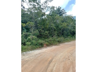 terrain  - 10000m2 à Montsinéry-Tonnegrande (97356)