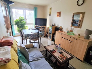 appartement 2 pièces - 50m2 à Nantes (44200)