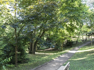 appartement 4 pièces - 70m2 à Caluire-et-Cuire (69300)