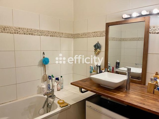 Achat immobilier Appartement 4 pièces  102m2 à Roussillon (38150) - Photo n°12