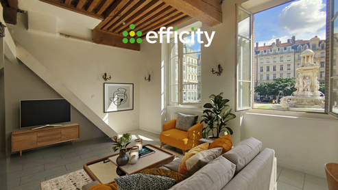 appartement 1 pièces - 47m2 à Lyon (69002)