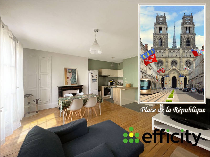 appartement 2 pièces - 50m2 à Orléans (45000)