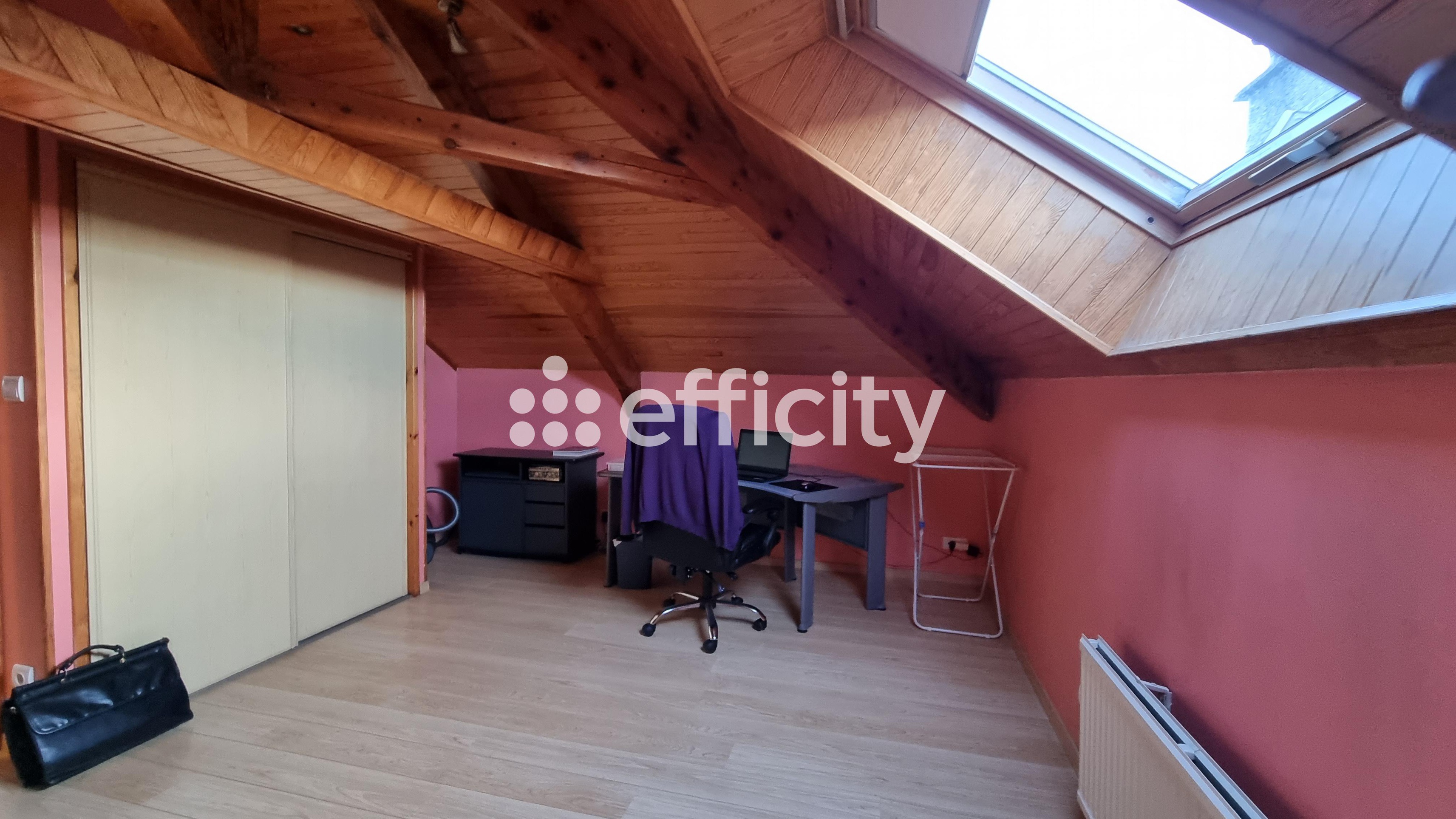 Achat immobilier Maison 10 pièces  200m2 à Saint-Chély-d'Apcher (48200) - Photo n°13