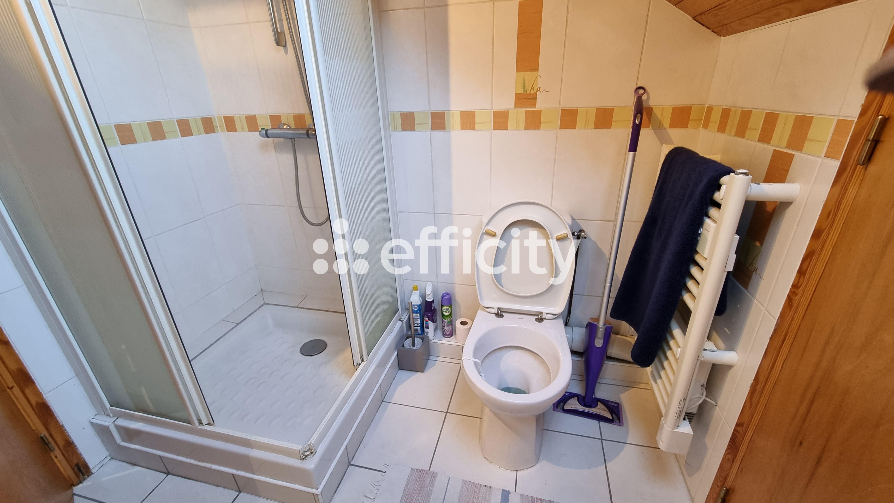 Achat immobilier Maison 10 pièces  200m2 à Saint-Chély-d'Apcher (48200) - Photo n°14