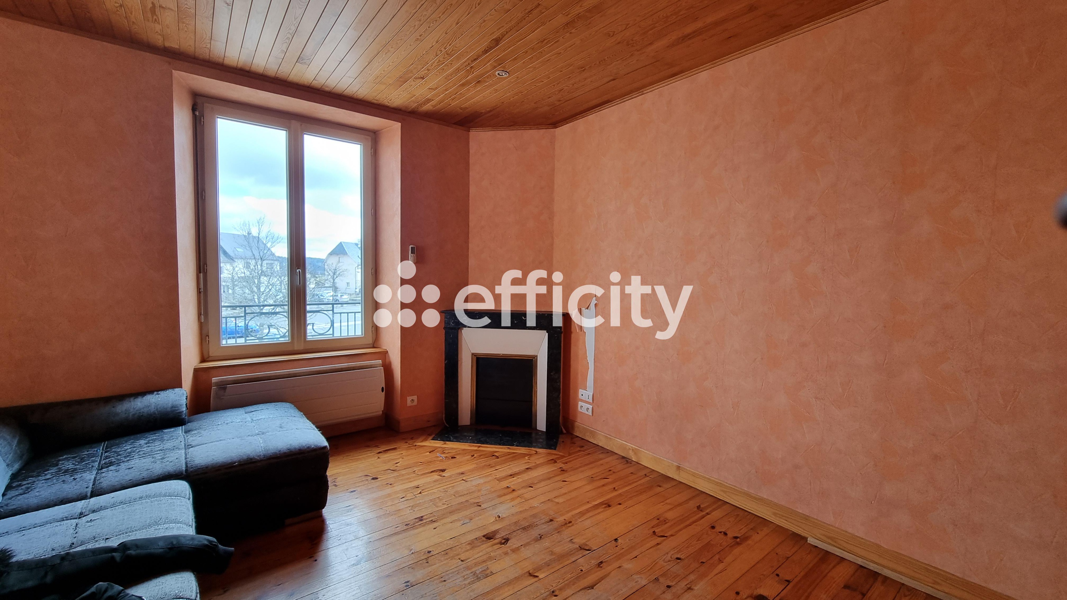 Achat immobilier Maison 10 pièces  200m2 à Saint-Chély-d'Apcher (48200) - Photo n°5