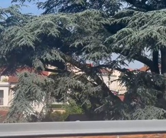 appartement 3 pièces - 65m2 à Lyon (69005)