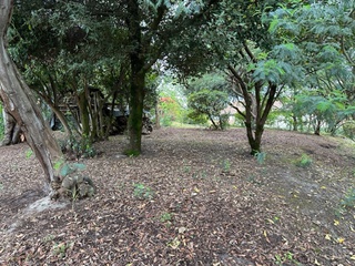 terrain  - 675m2 à Lacanau (33680)