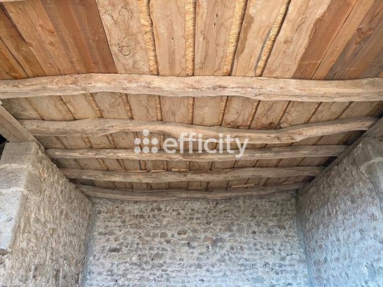 Achat immobilier Maison 5 pièces  110m2 à Saint-Christophe-en-Brionnais (71800) - Photo n°17