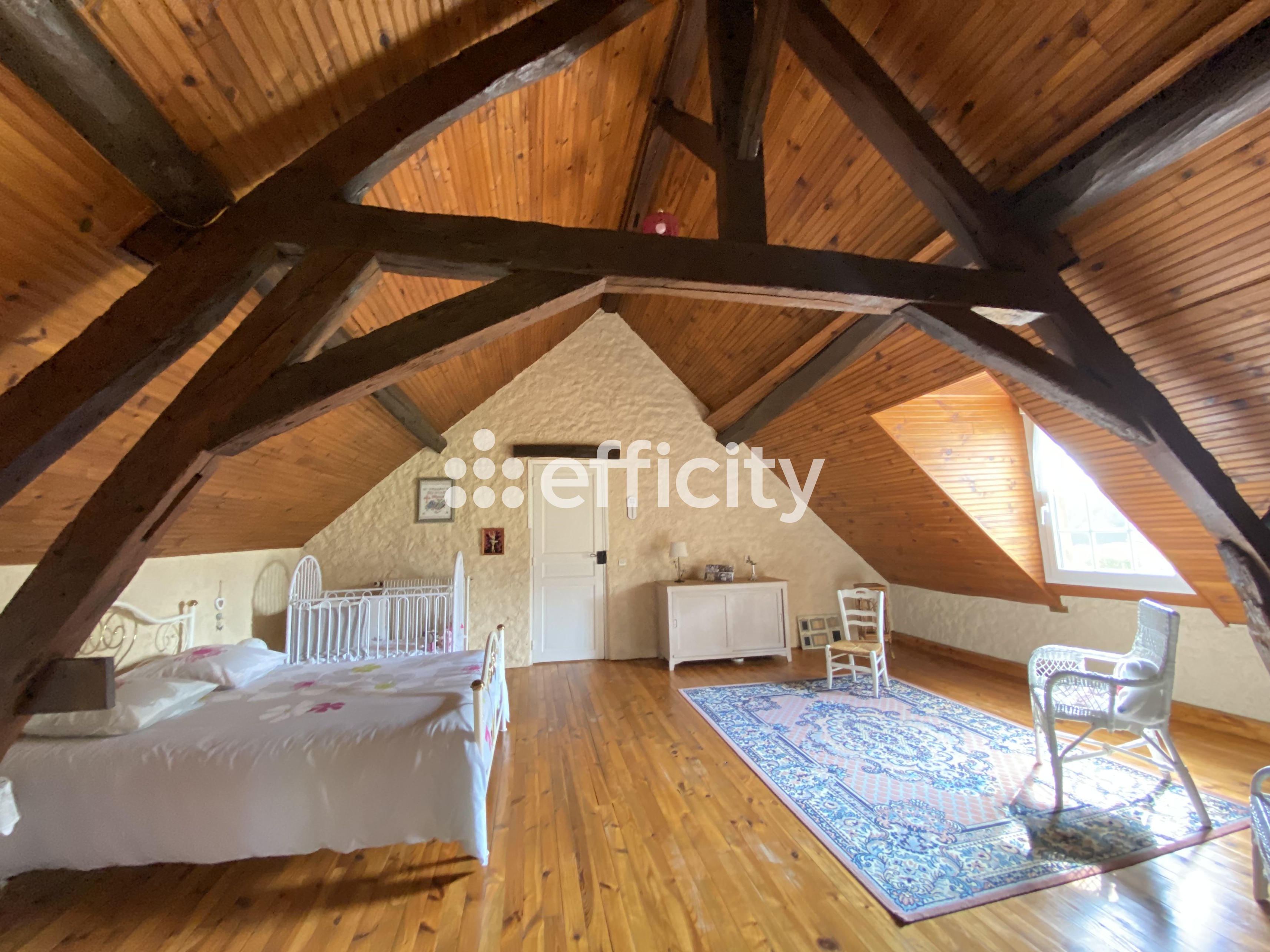 Achat immobilier Maison 7 pièces  260m2 à La Ferté-Bernard (72400) - Photo n°6