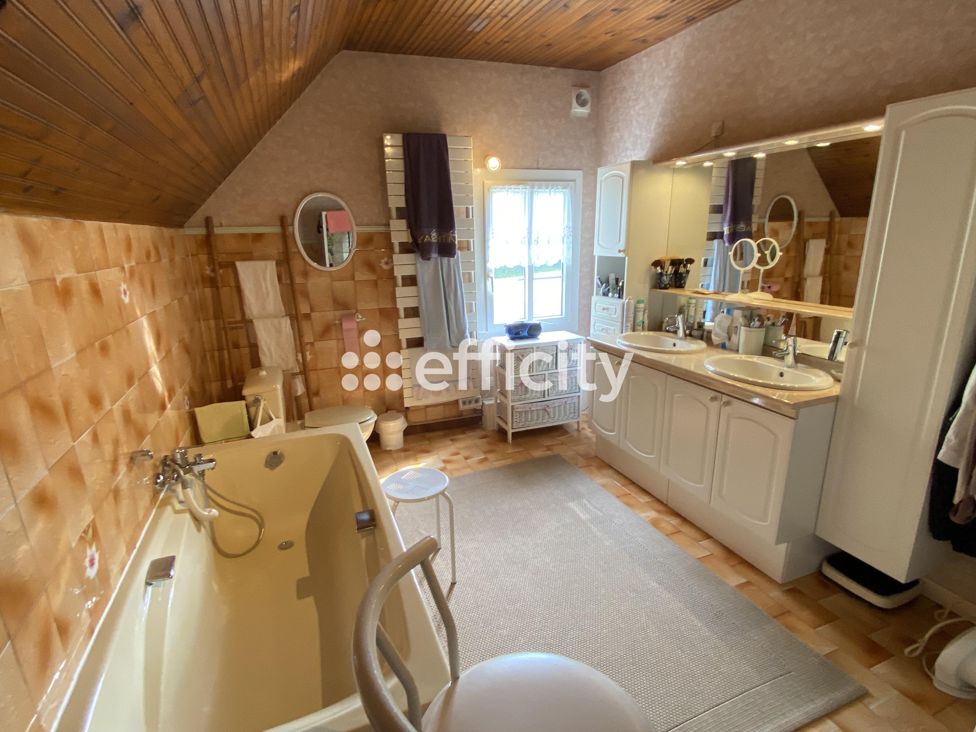 Achat immobilier Maison 7 pièces  260m2 à La Ferté-Bernard (72400) - Photo n°8