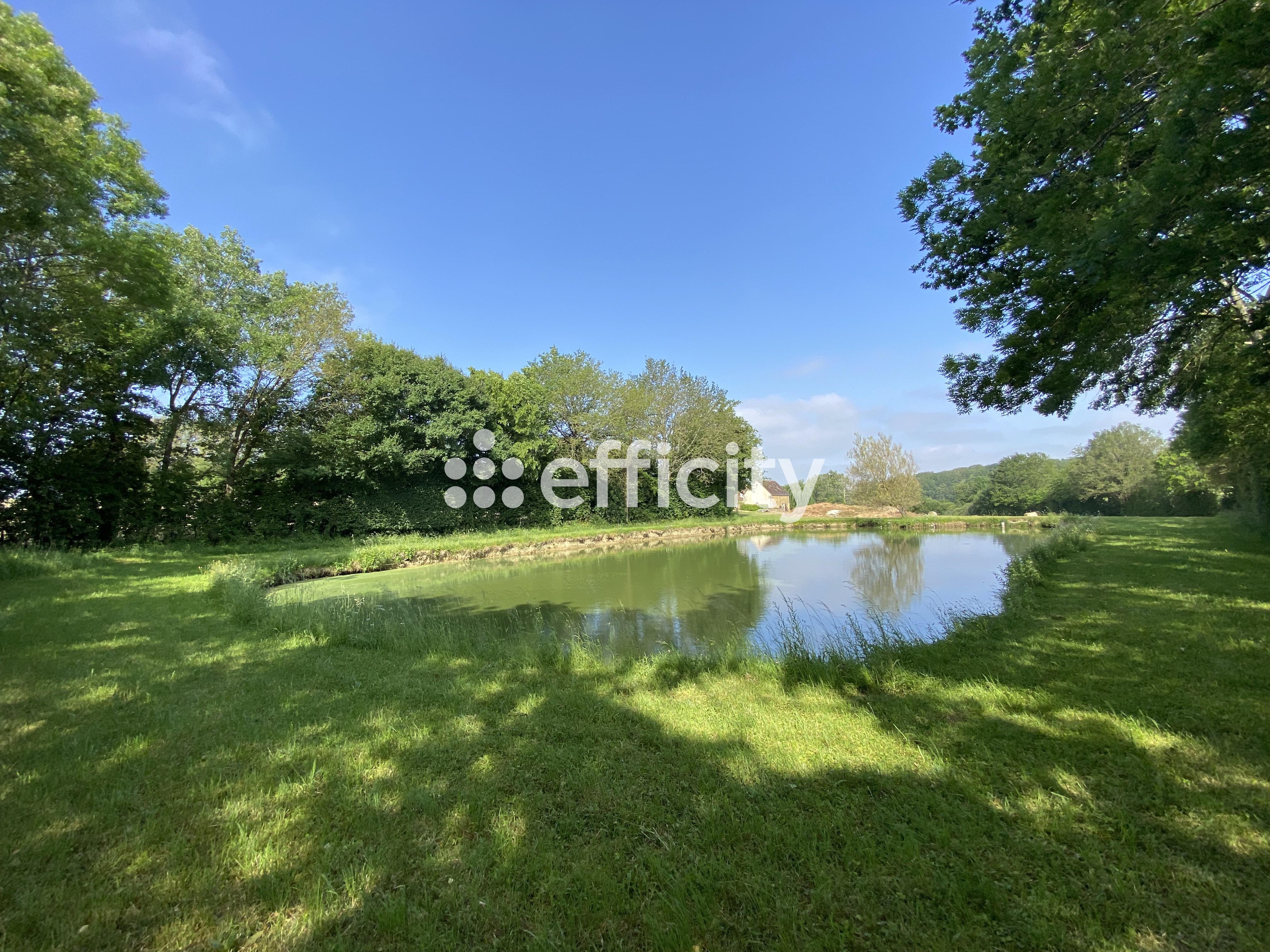 Achat immobilier Maison 7 pièces  260m2 à La Ferté-Bernard (72400) - Photo n°14