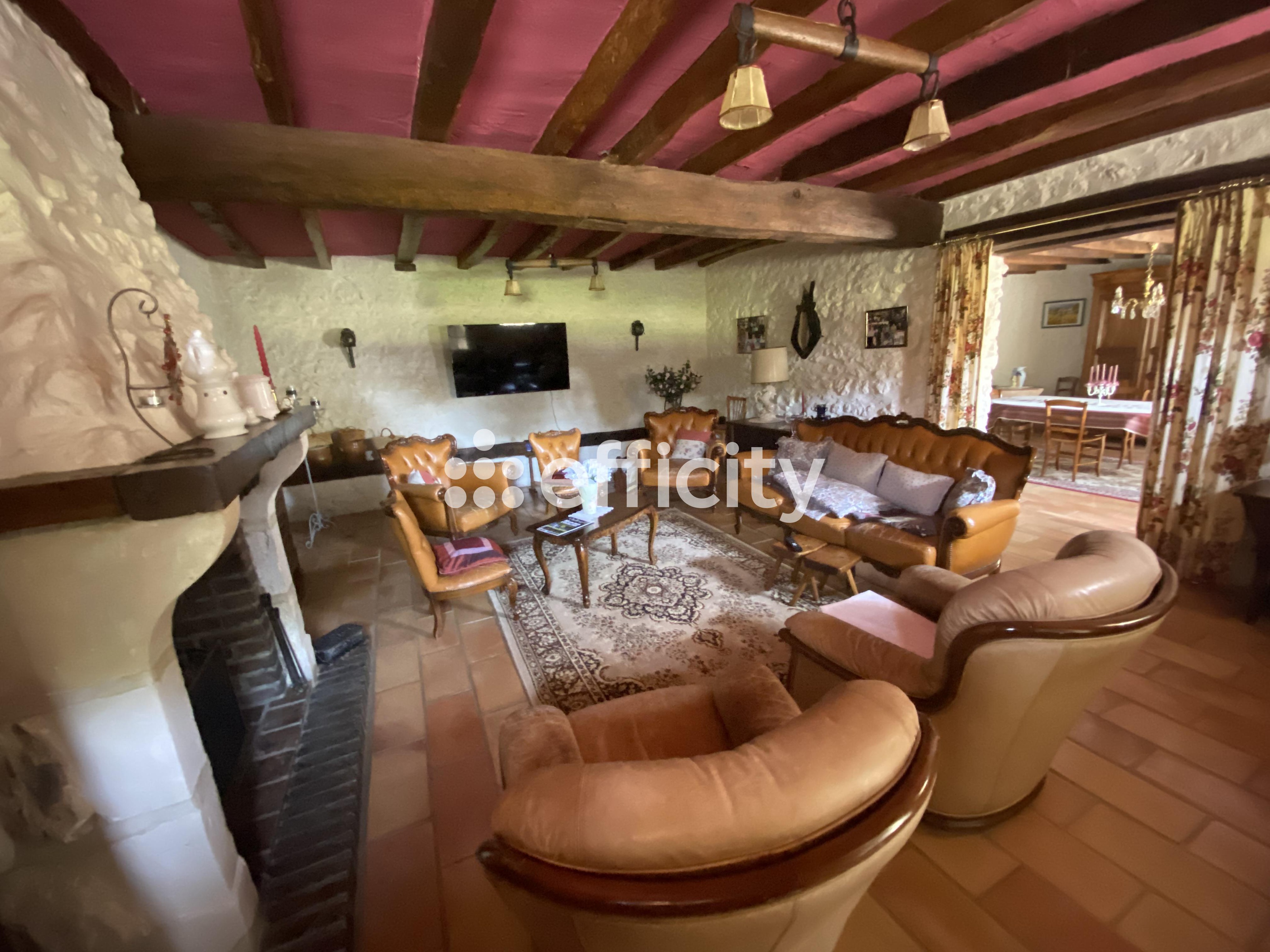 Achat immobilier Maison 7 pièces  260m2 à La Ferté-Bernard (72400) - Photo n°4