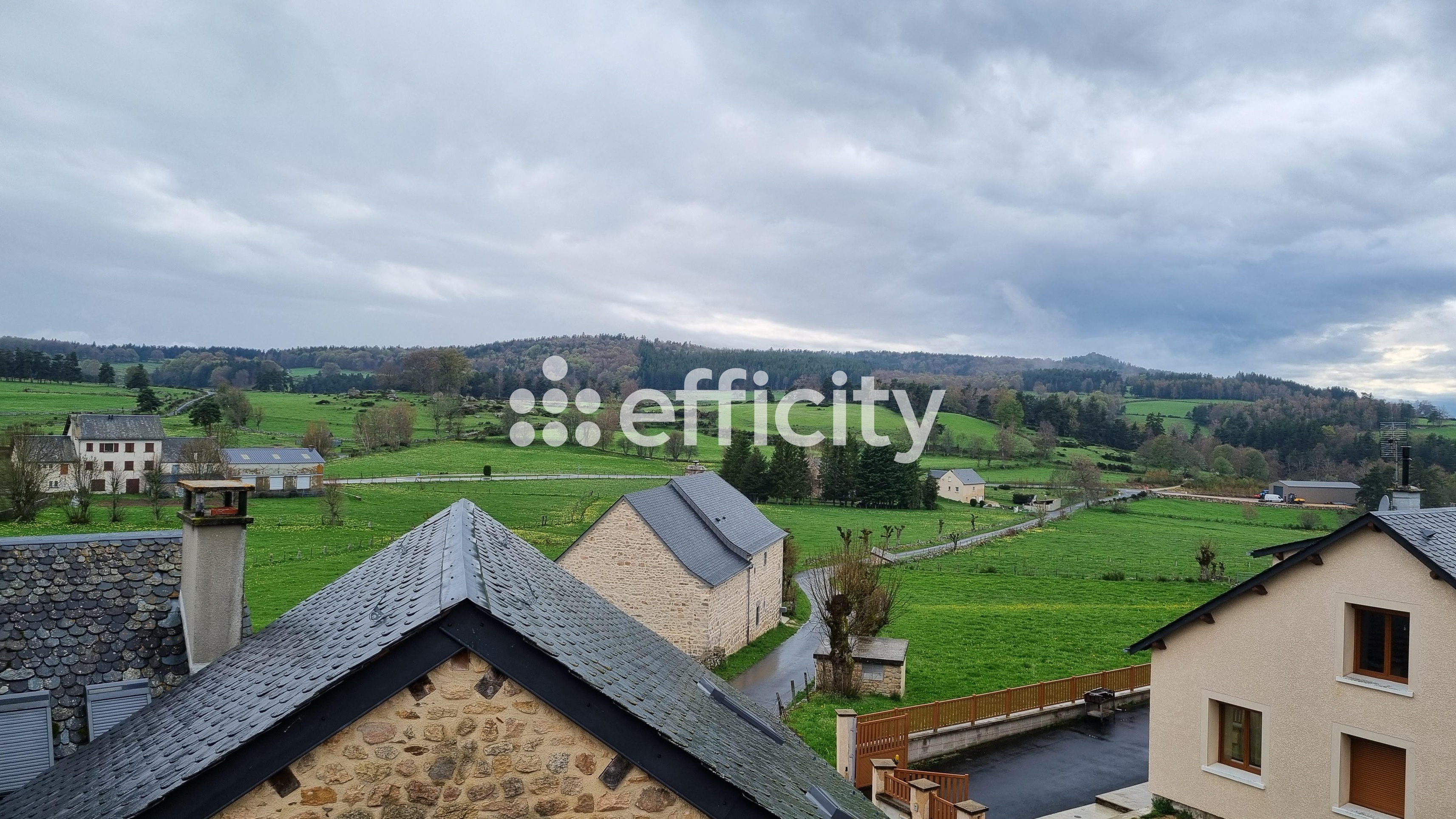 Achat immobilier Maison 6 pièces  96m2 à Termes (48310) - Photo n°9