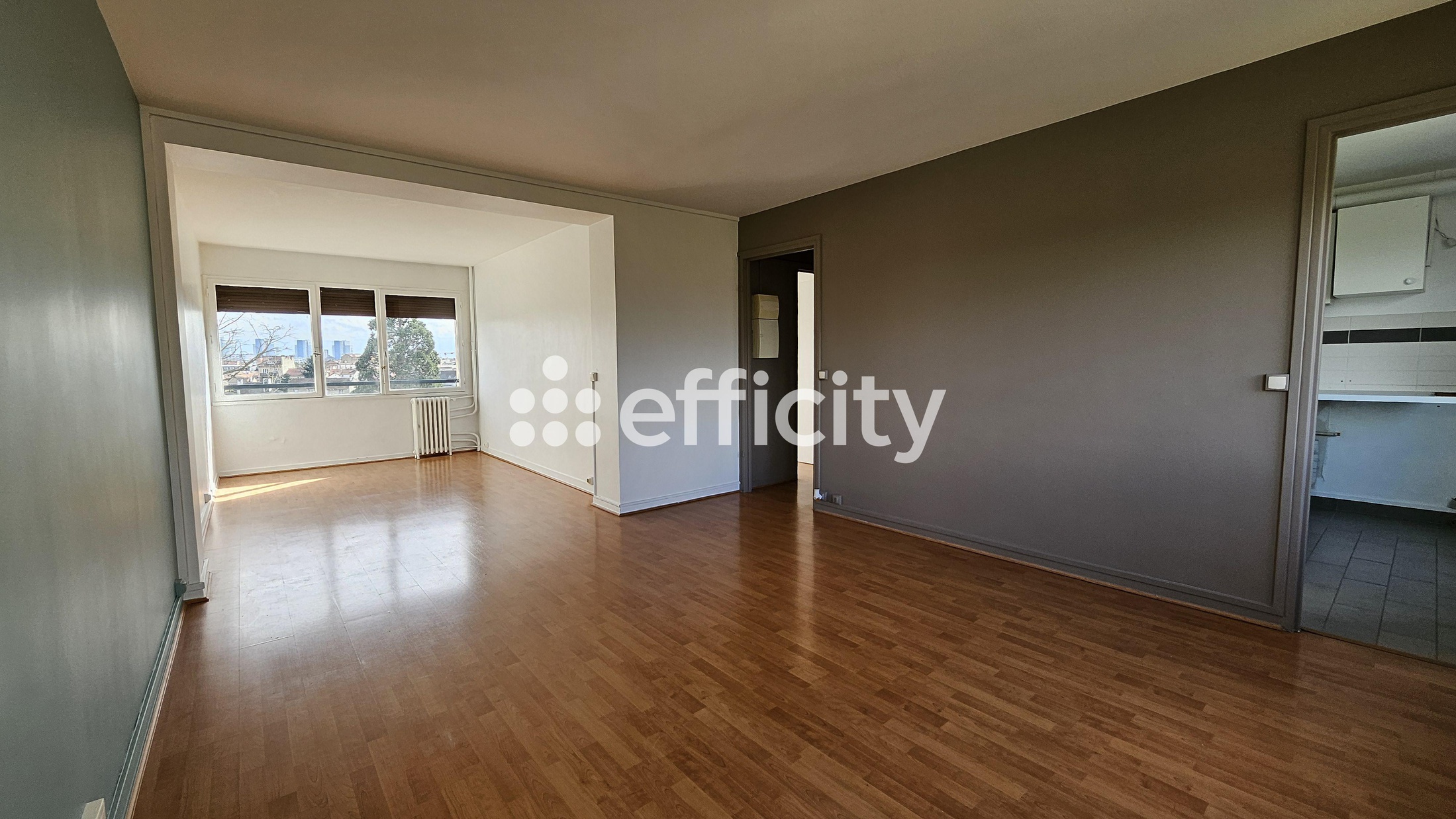 appartement 3 pièces - 51m2 à Maisons-Alfort (94700)