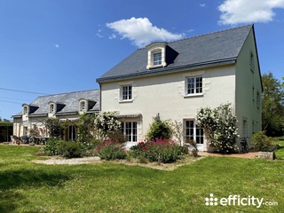 maison 13 pièces - 365m2 à Angers (49000)