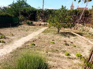 terrain  - 210m2 à Saint-Pargoire (34230)