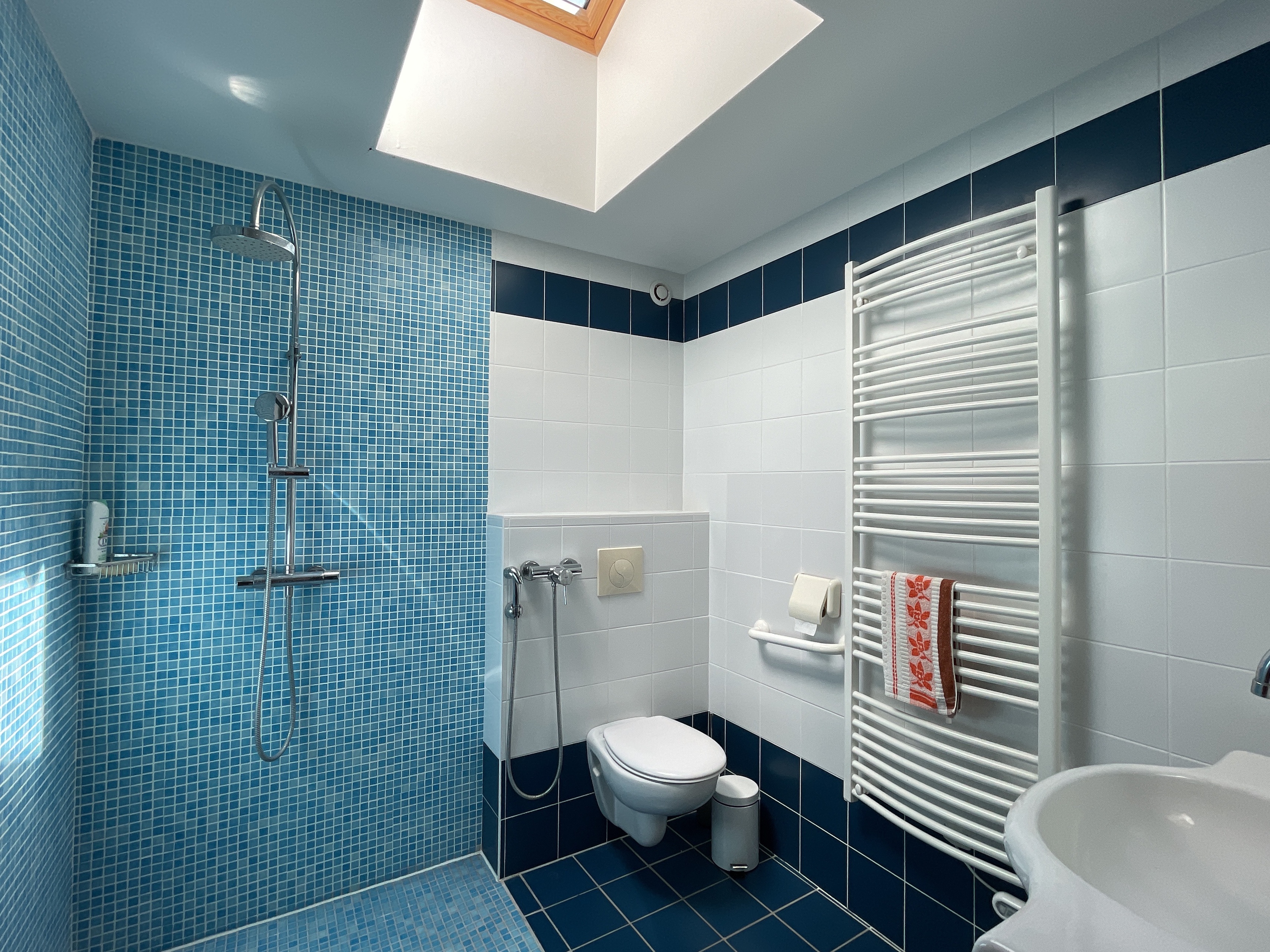 Achat immobilier Maison 7 pièces  250m2 à Pujaut (30131) - Photo n°10