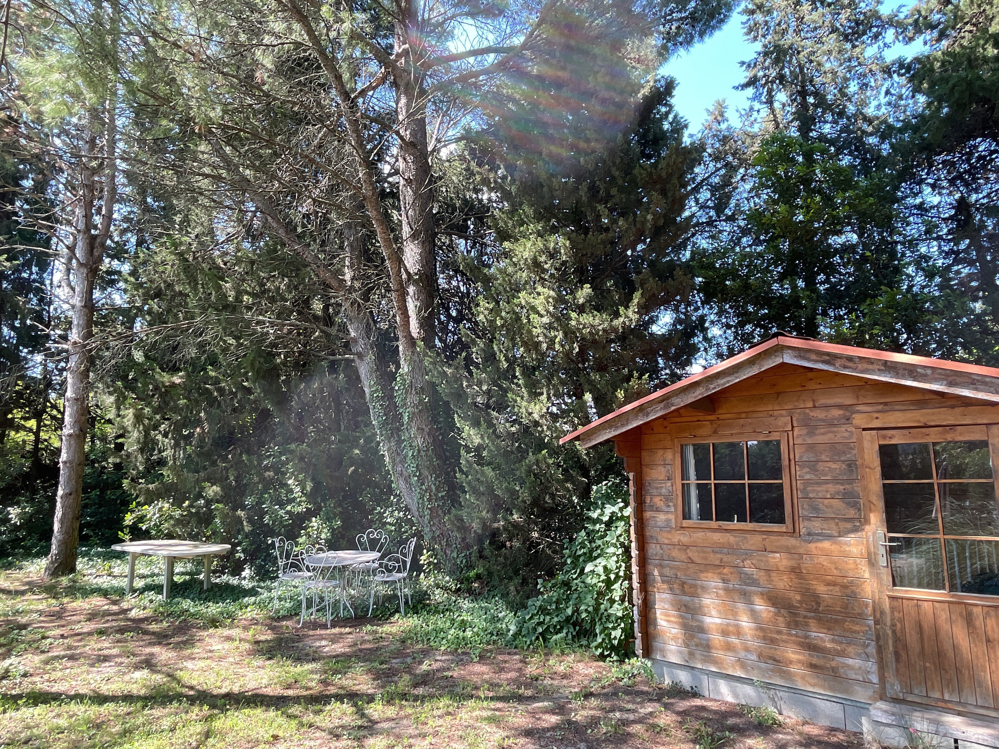 Achat immobilier Maison 7 pièces  250m2 à Pujaut (30131) - Photo n°13