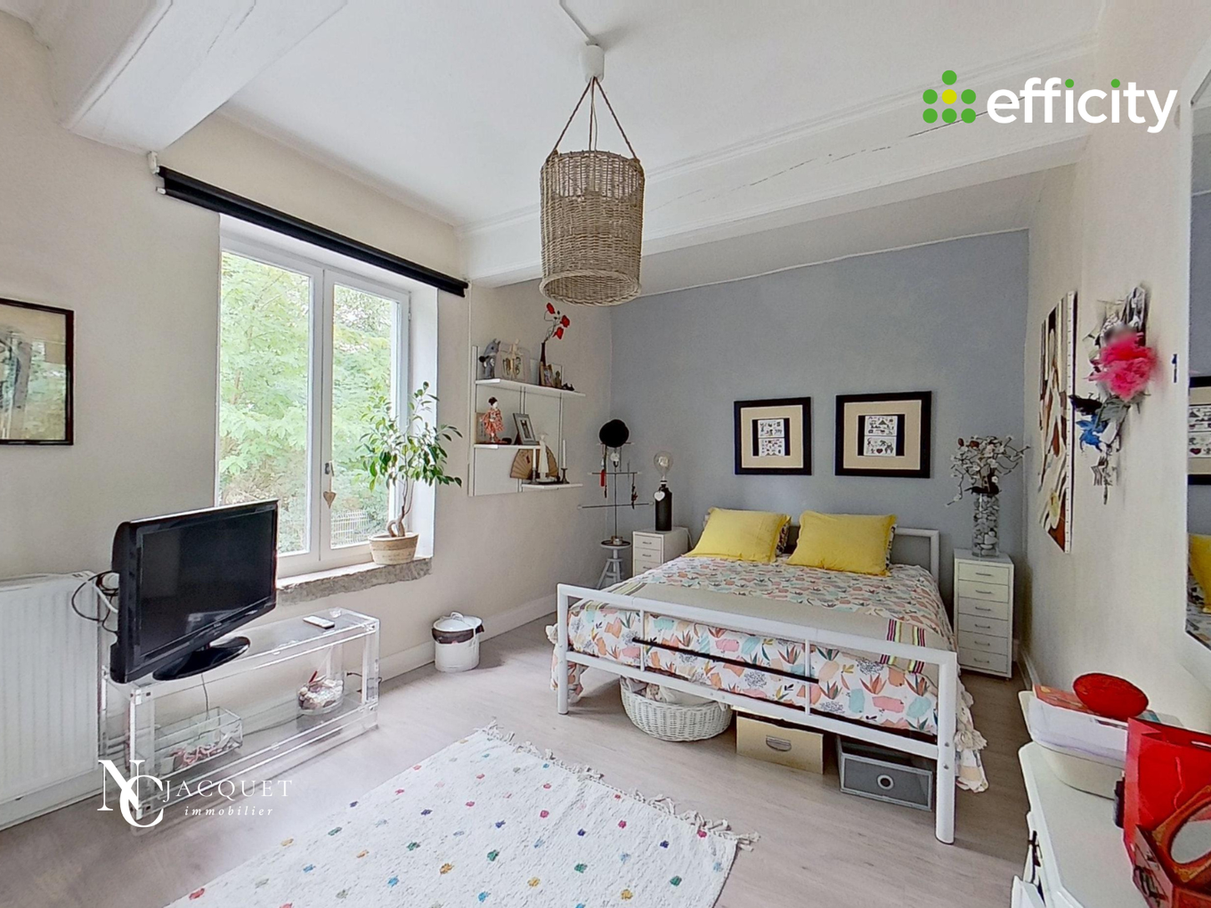 Achat immobilier Maison 6 pièces  184m2 à Rillieux-la-Pape (69140) - Photo n°8