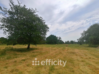 maison 8 pièces - 216m2 à Houdan (78550)