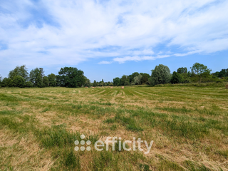 maison 8 pièces - 216m2 à Houdan (78550)