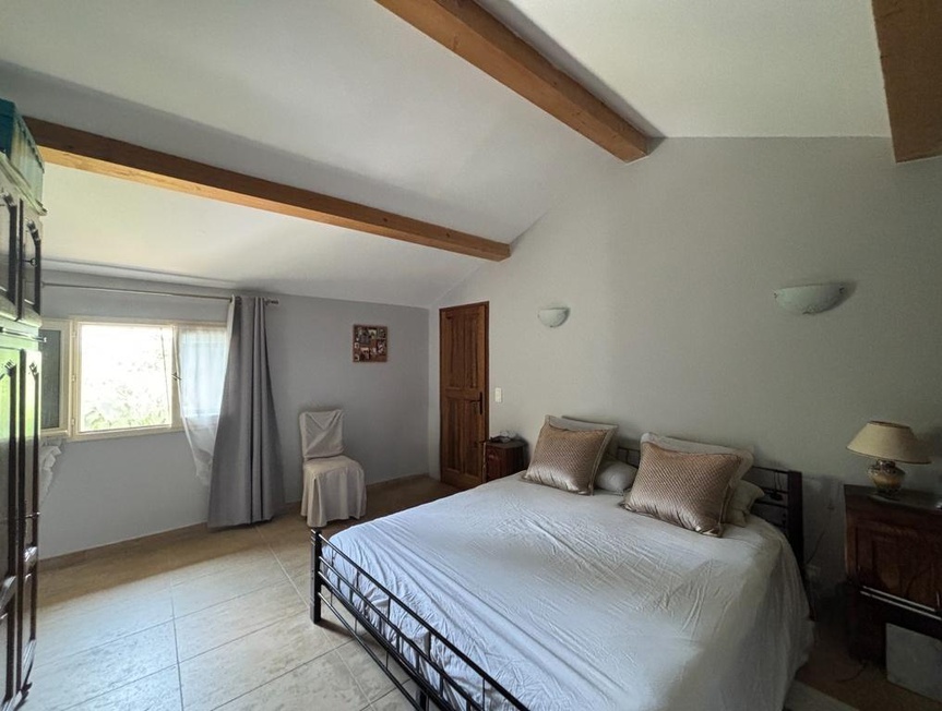 Achat immobilier Maison 7 pièces  280m2 à Sernhac (30210) - Photo n°9