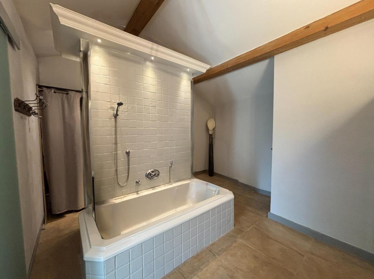 Achat immobilier Maison 7 pièces  280m2 à Sernhac (30210) - Photo n°11