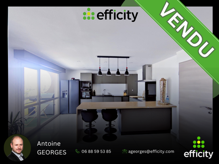 appartement 4 pièces - 100m2 à Grenoble (38100)