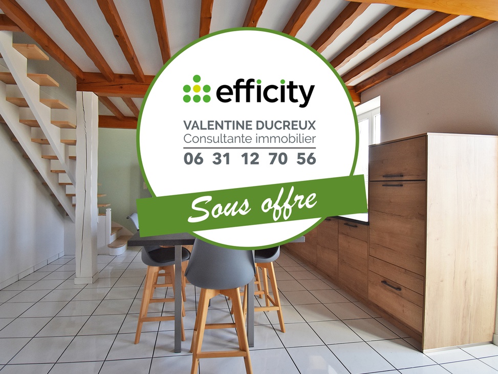 maison 4 pièces - 99m2 à Viricelles (42140)