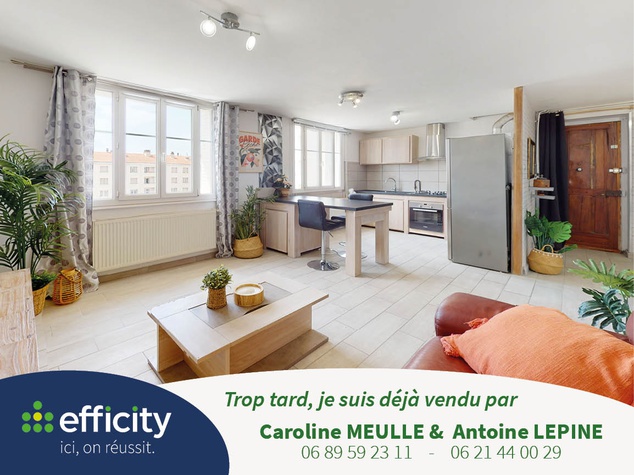 appartement 3 pièces - 67m2 à Villeurbanne (69100)