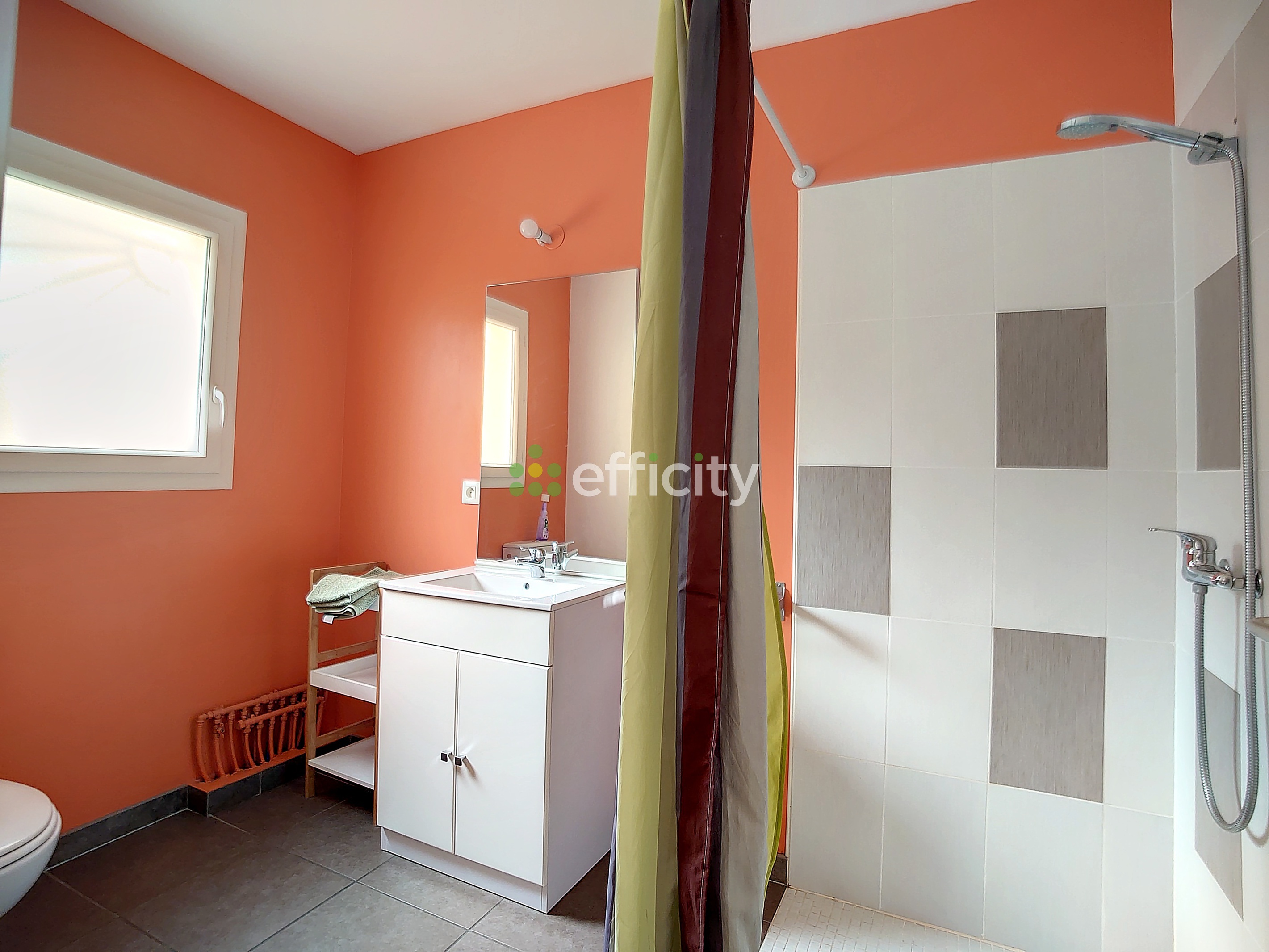 Achat immobilier Maison 17 pièces  210m2 à Sainte-Eulalie-en-Born (40200) - Photo n°9