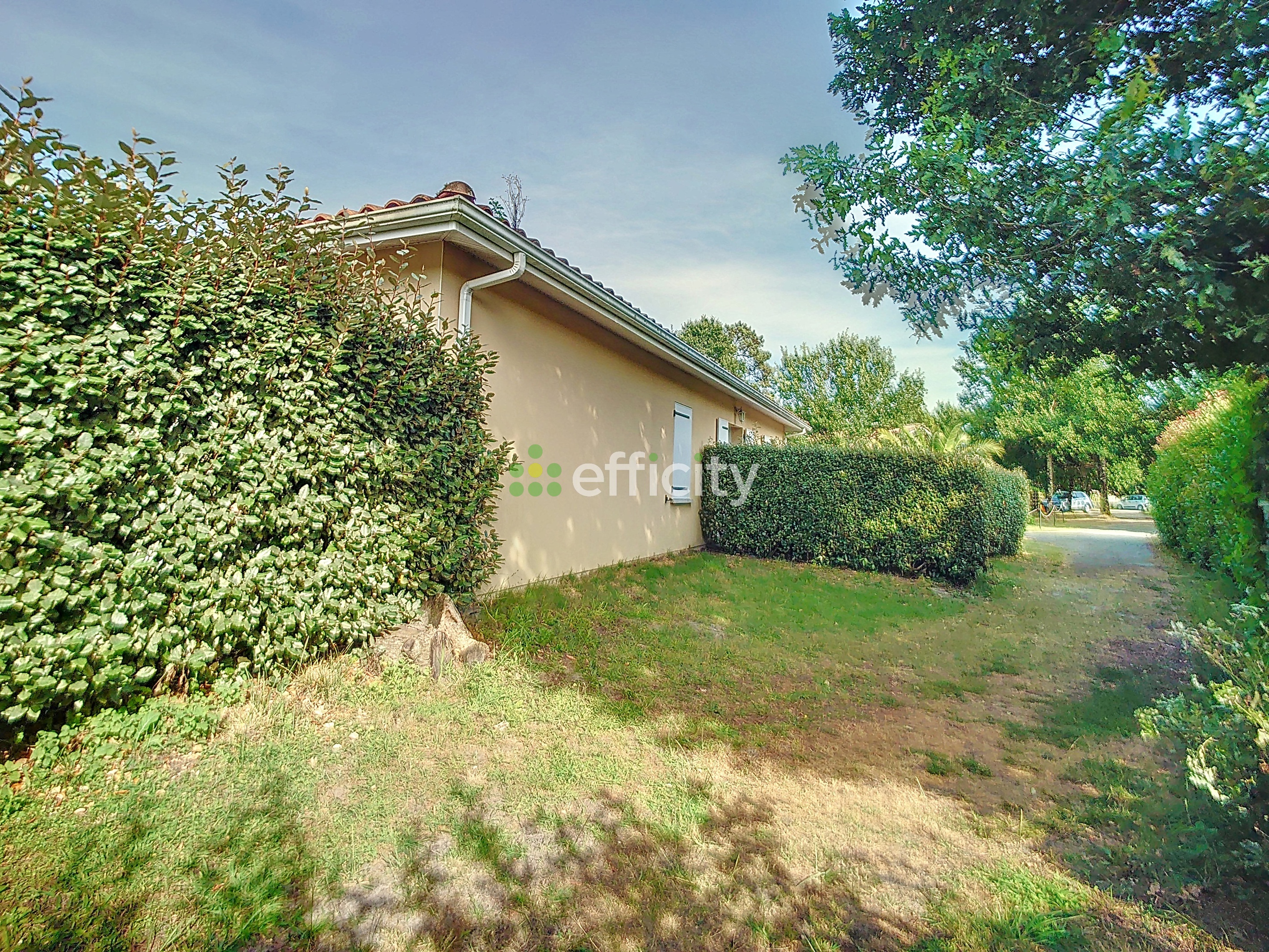 Achat immobilier Maison 17 pièces  210m2 à Sainte-Eulalie-en-Born (40200) - Photo n°10