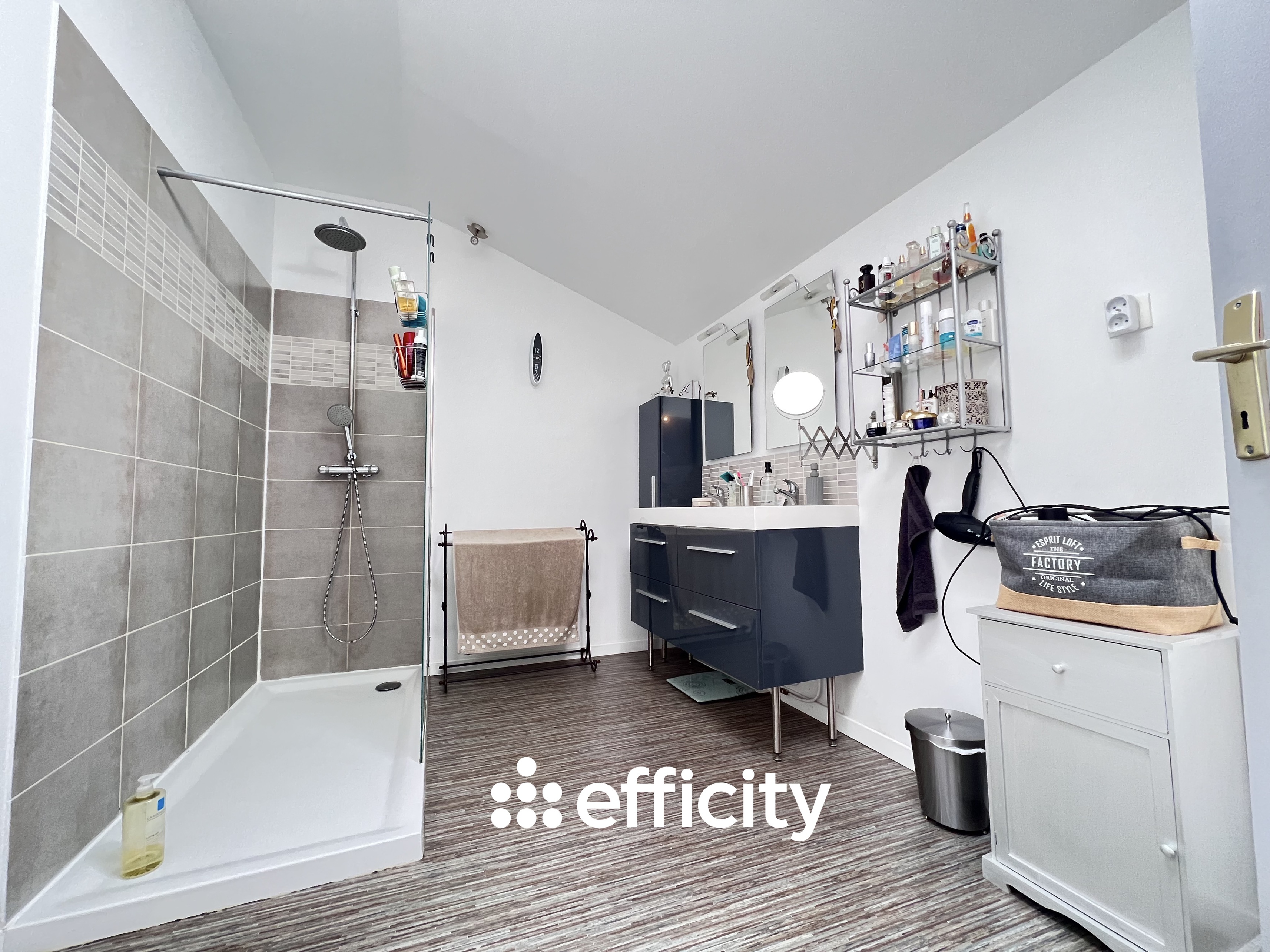 Achat immobilier Maison 6 pièces  160m2 à Saint-Pierre-la-Noue (17700) - Photo n°9