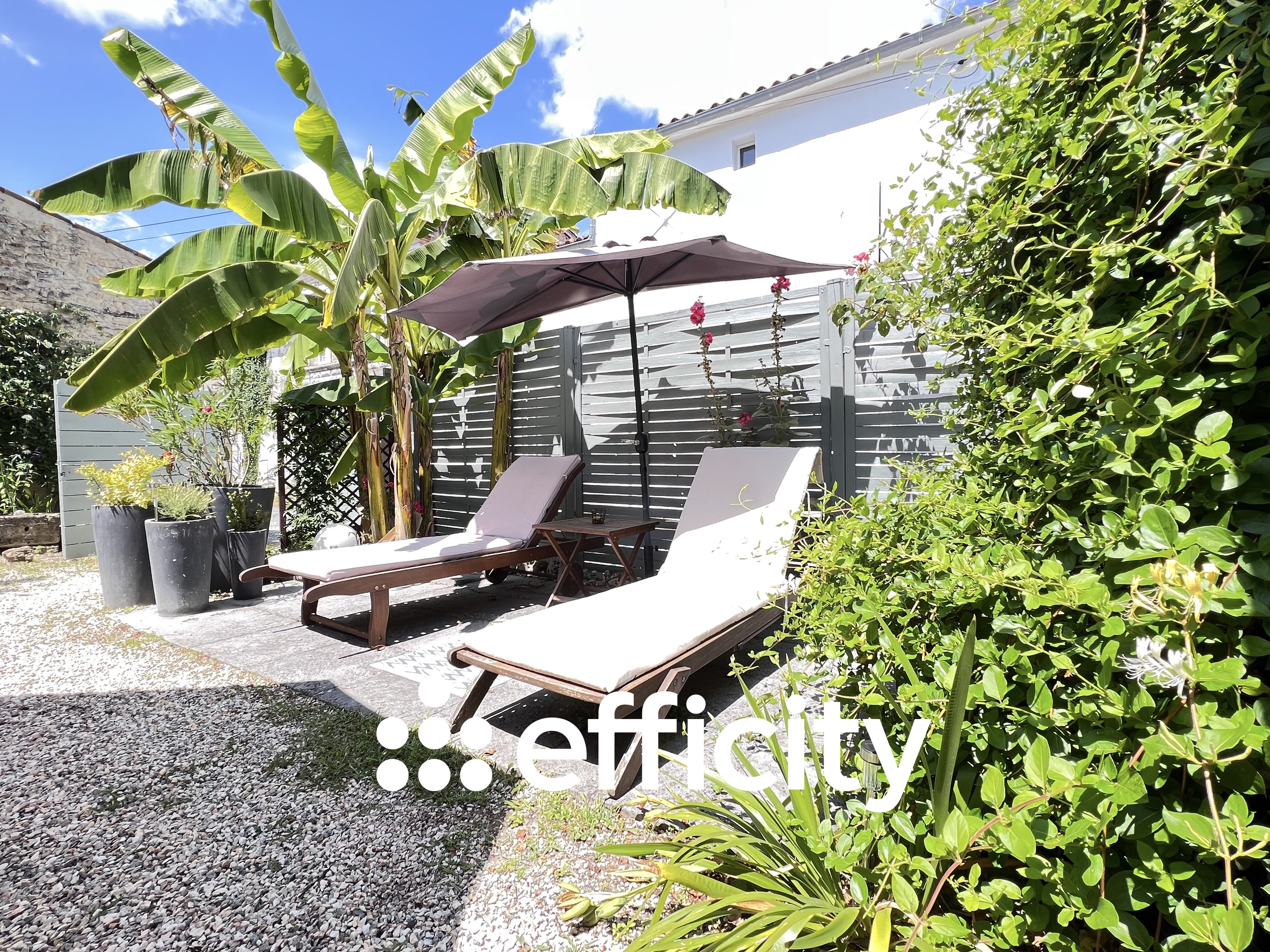 Achat immobilier Maison 6 pièces  160m2 à Saint-Pierre-la-Noue (17700) - Photo n°11