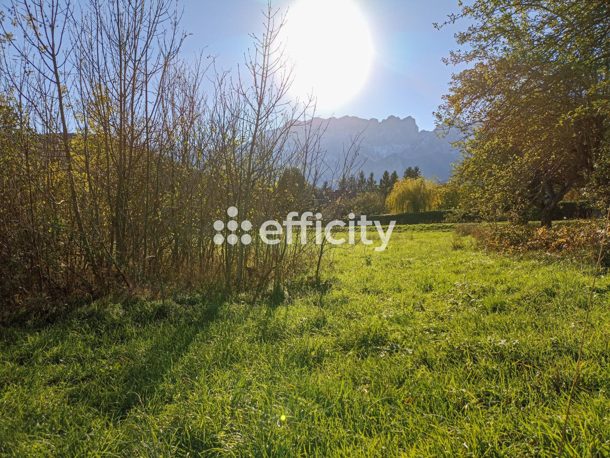 Achat immobilier Terrain   960m2 à Saint-Firmin (05800) - Photo n°10