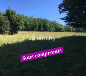 terrain  - 12000m2 à Chaux-lès-Port (70170)
