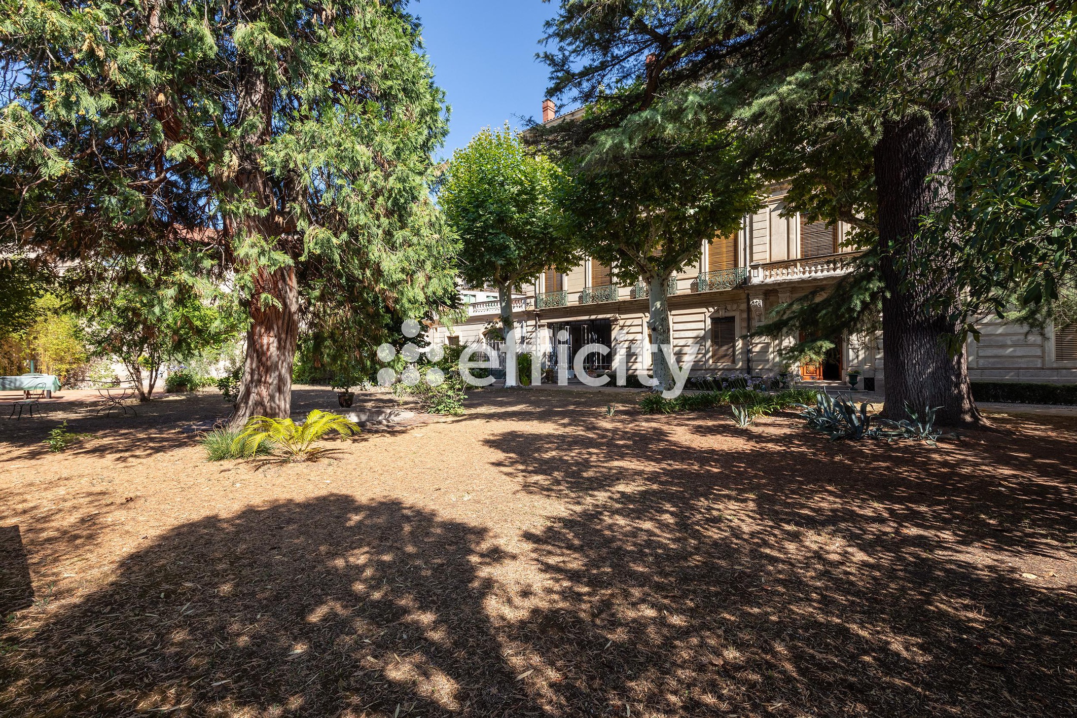 Achat immobilier Immeuble 14 pièces  1243m2 à Bédarieux (34600) - Photo n°12