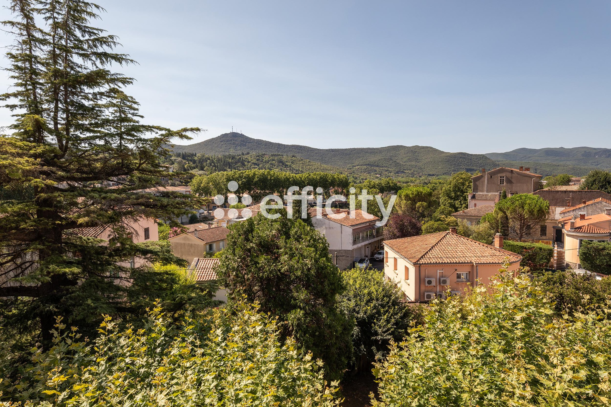 Achat immobilier Immeuble 14 pièces  1243m2 à Bédarieux (34600) - Photo n°17