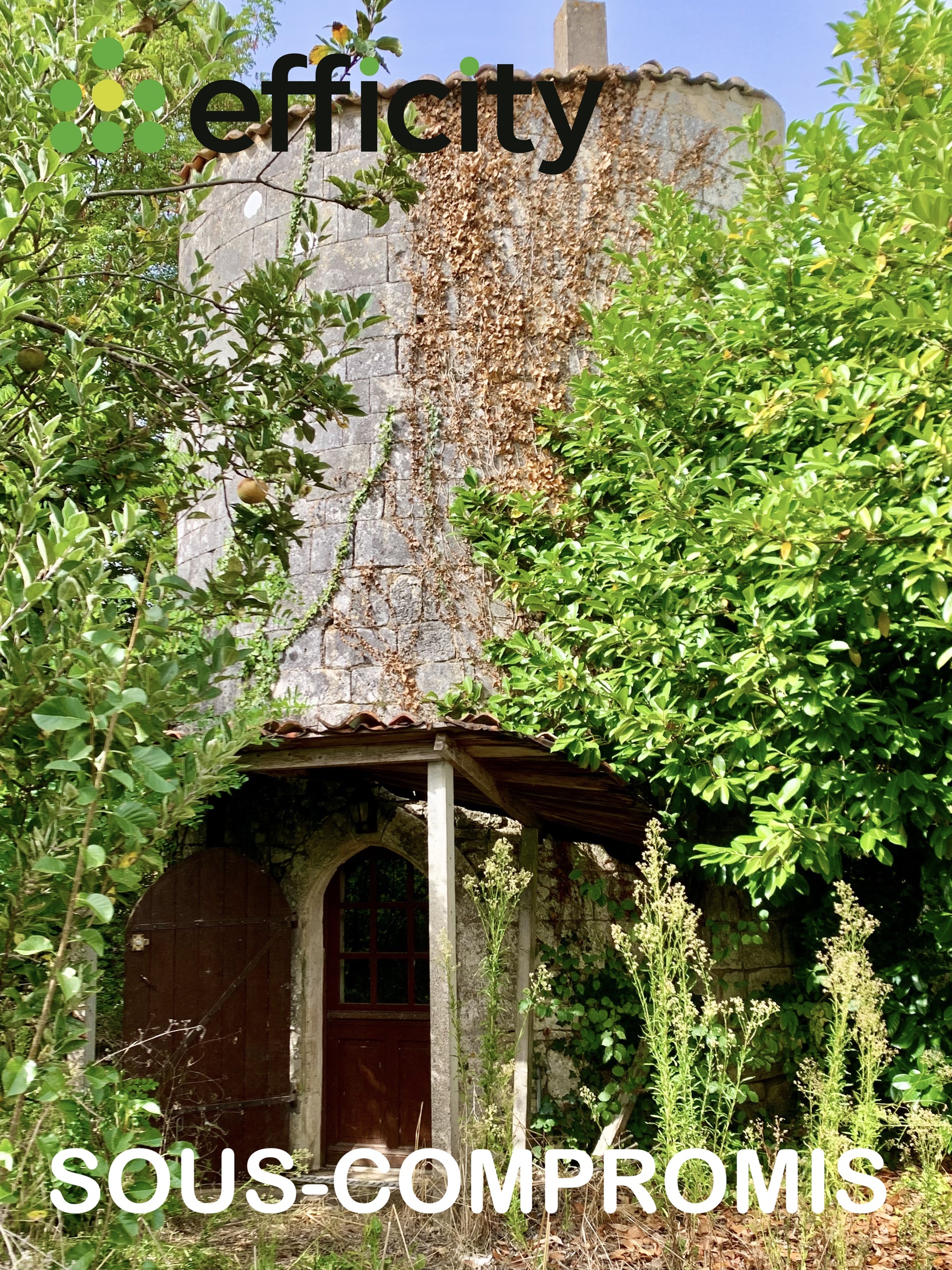 maison 3 pièces - 45m2 à La Vallee (17250)