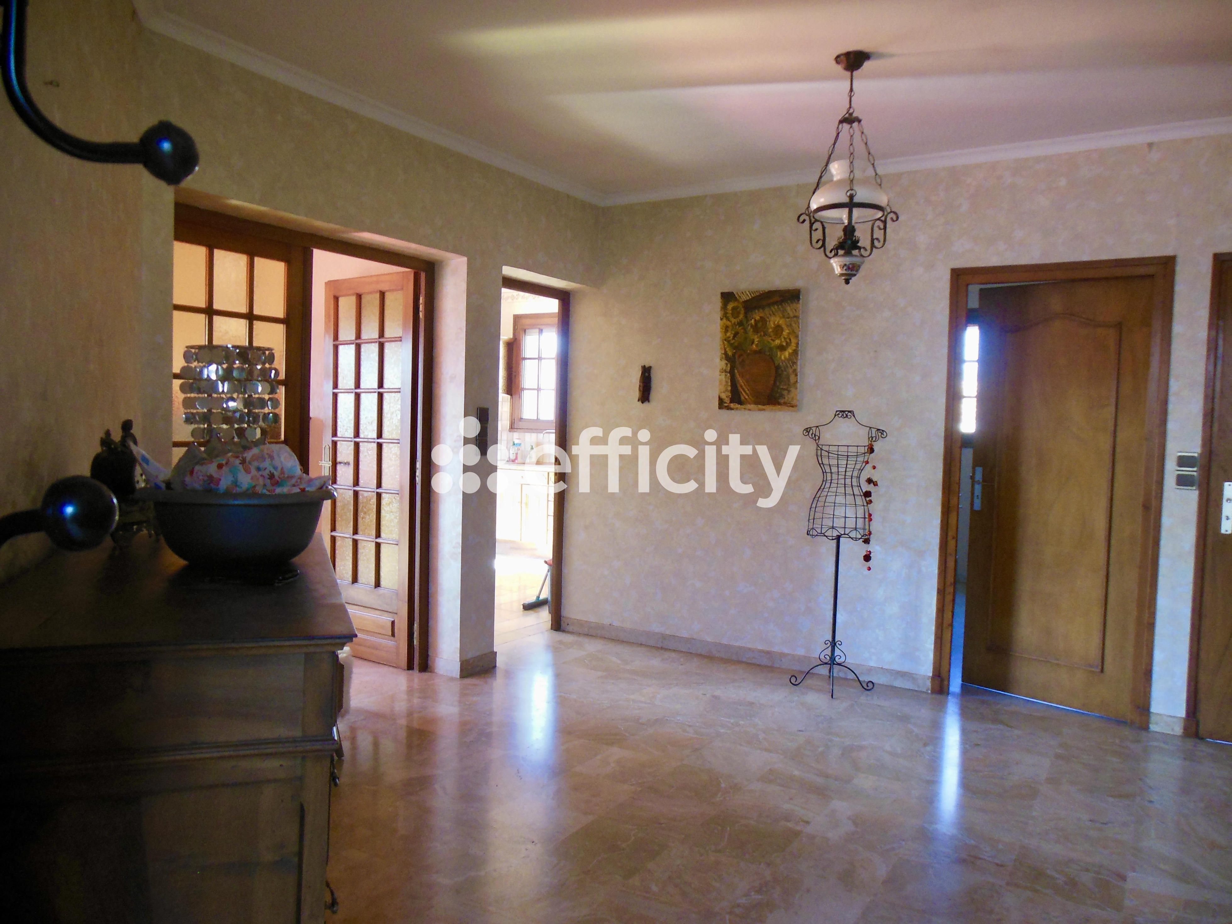 Achat immobilier Maison 4 pièces  151m2 à Saint-Rambert-d'Albon (26140) - Photo n°4