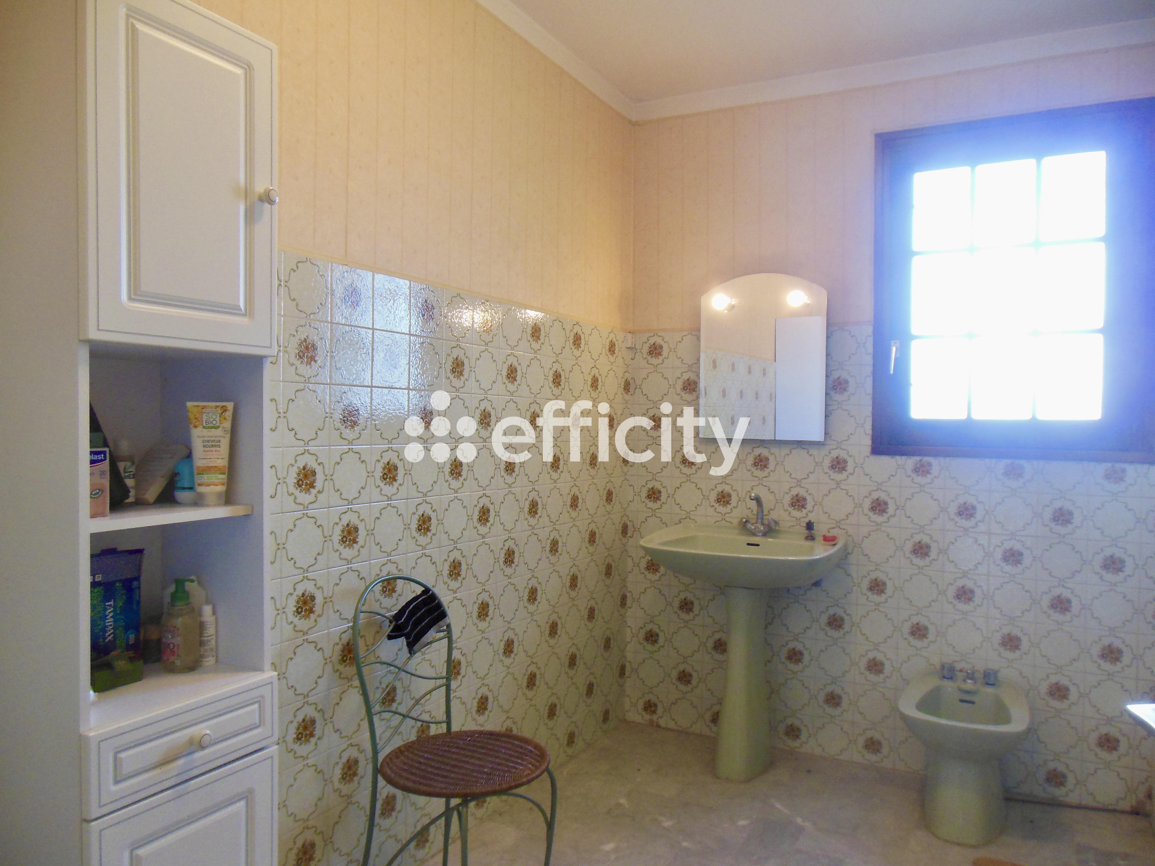 Achat immobilier Maison 4 pièces  151m2 à Saint-Rambert-d'Albon (26140) - Photo n°15