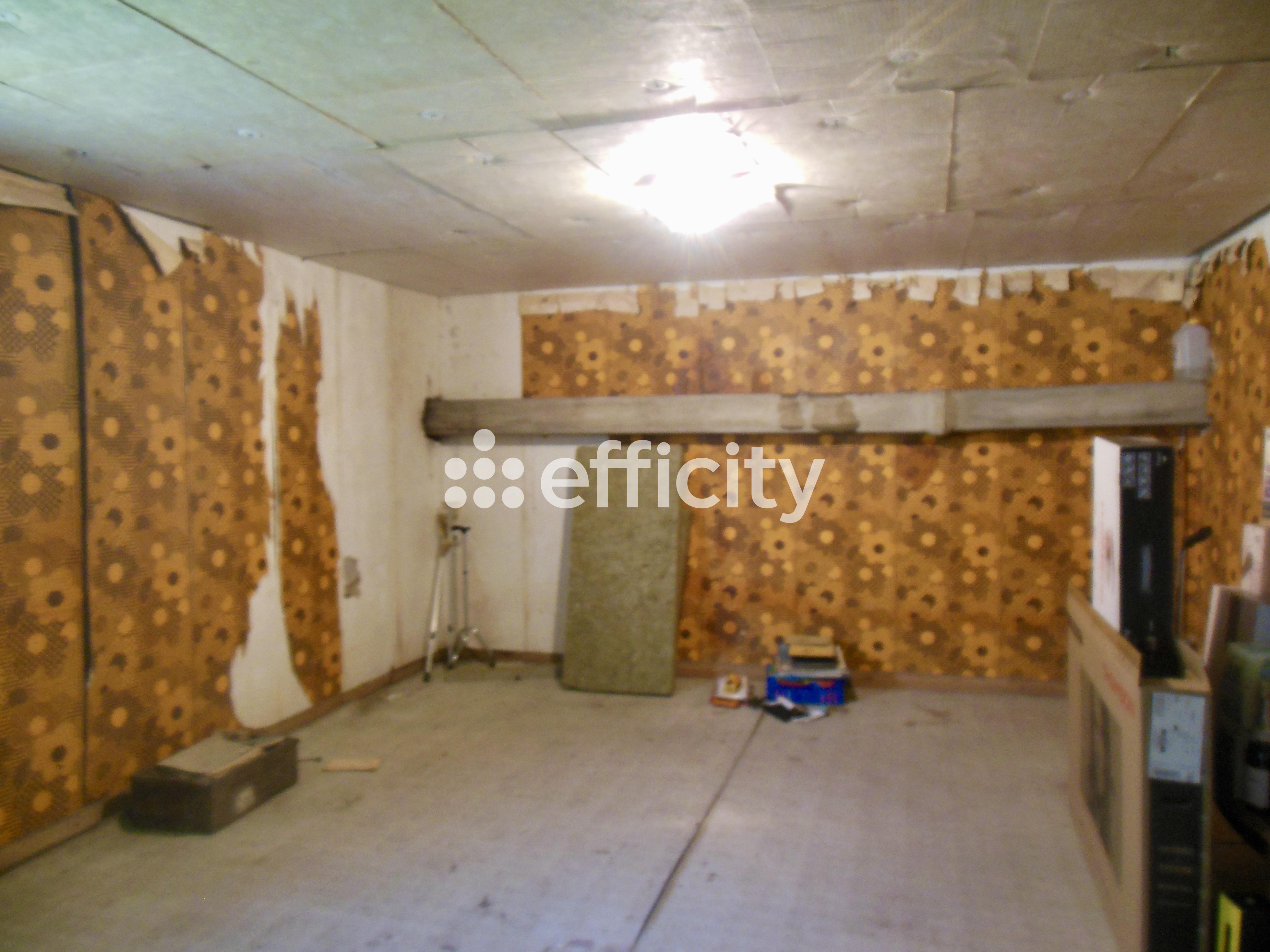 Achat immobilier Maison 4 pièces  151m2 à Saint-Rambert-d'Albon (26140) - Photo n°18