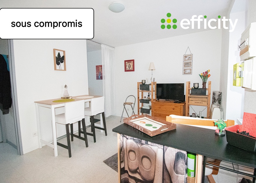 appartement 2 pièces - 24m2 à Mâcon (71000)