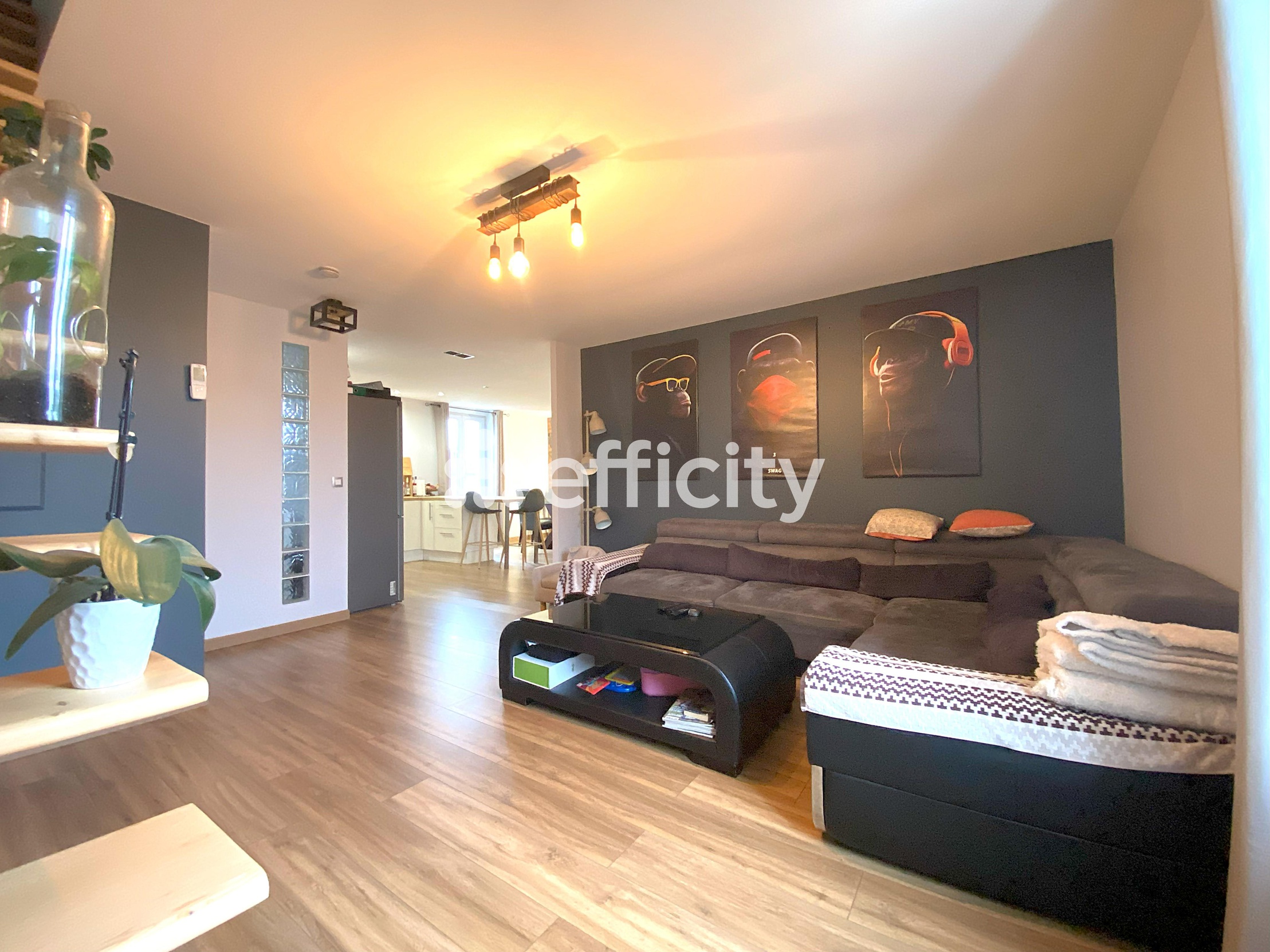 appartement 3 pièces - 103m2 à La Tour-du-Pin (38110)