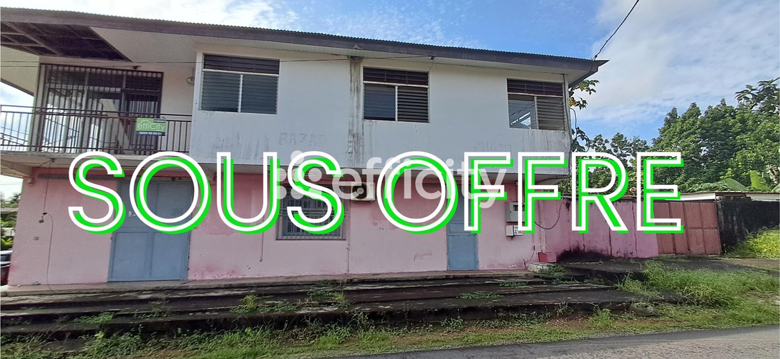 immeuble 15 pièces - 350m2 à Matoury (97351)