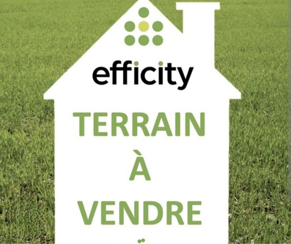 terrain  - 1610m2 à Saint-Paterne-Racan (37370)