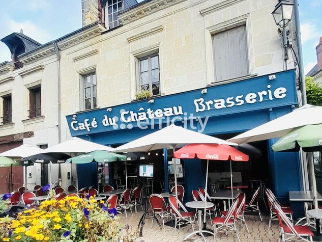 immeuble 6 pièces - 147m2 à Langeais (37130)