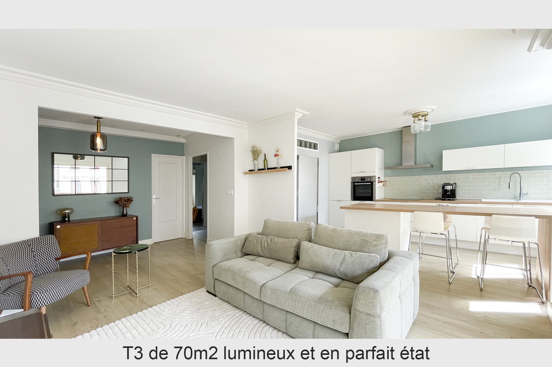 appartement 3 pièces - 69m2 à Villeurbanne (69100)