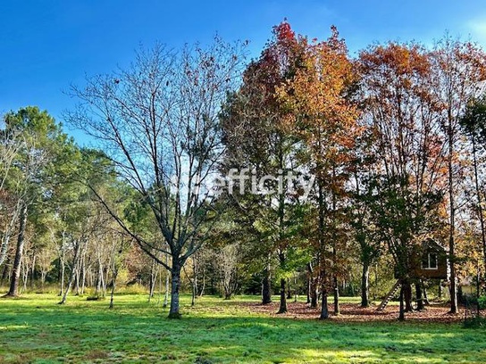 Achat immobilier Maison 10 pièces  290m2 à Pessac (33600) - Photo n°5