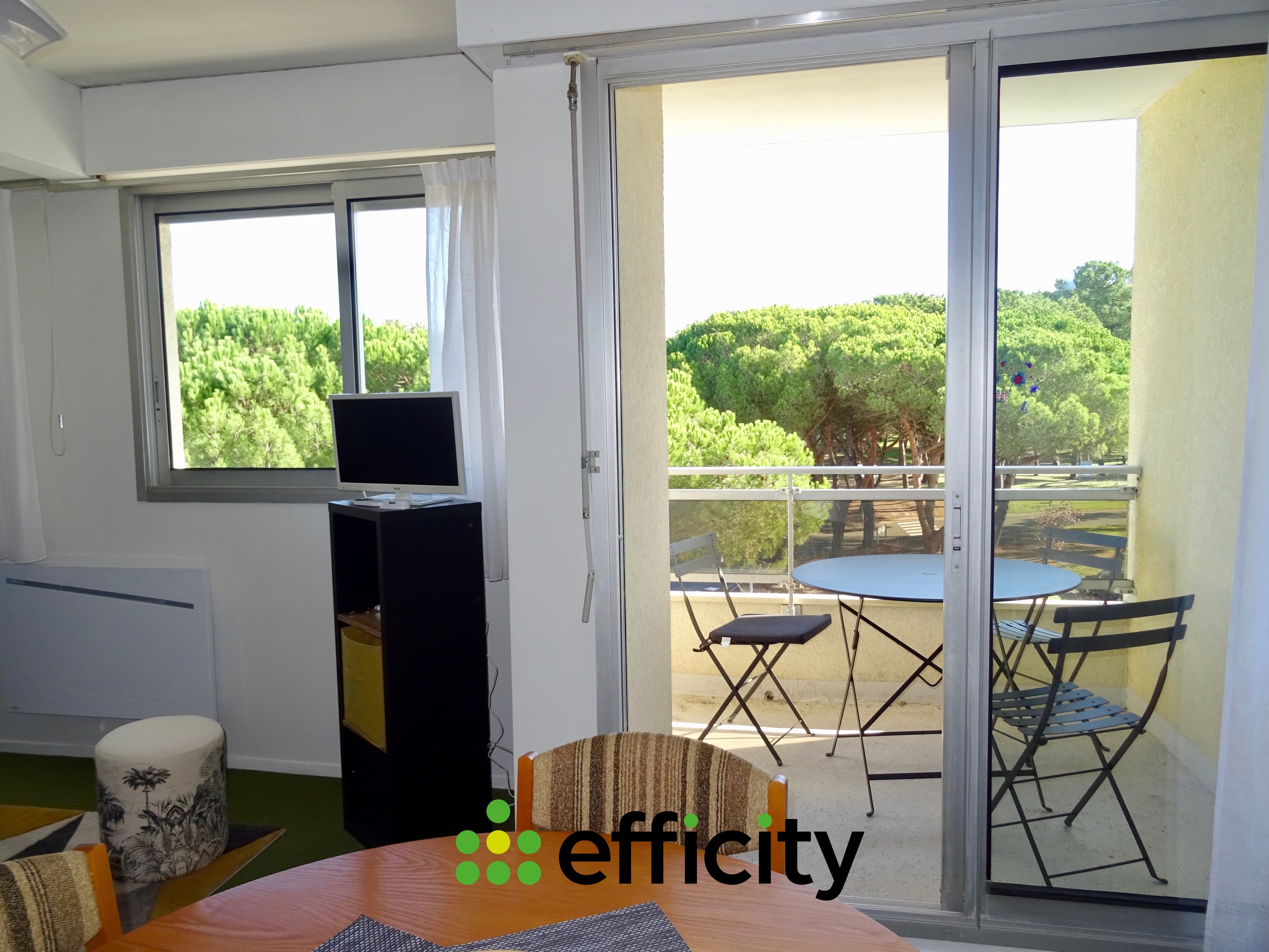 appartement 1 pièces - 28m2 à Les Mathes (17570)